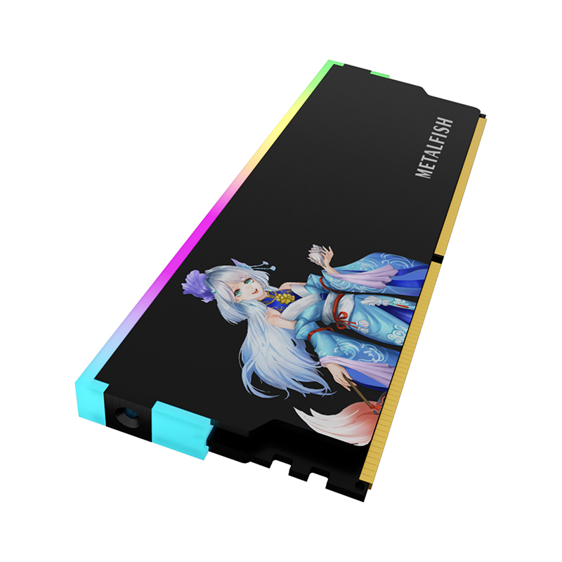 METALFISH DRAM dissipateur the - Ddr5 Ram avis et prix