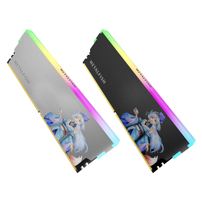 METALFISH DRAM dissipateur the - Ddr5 Ram avis et prix